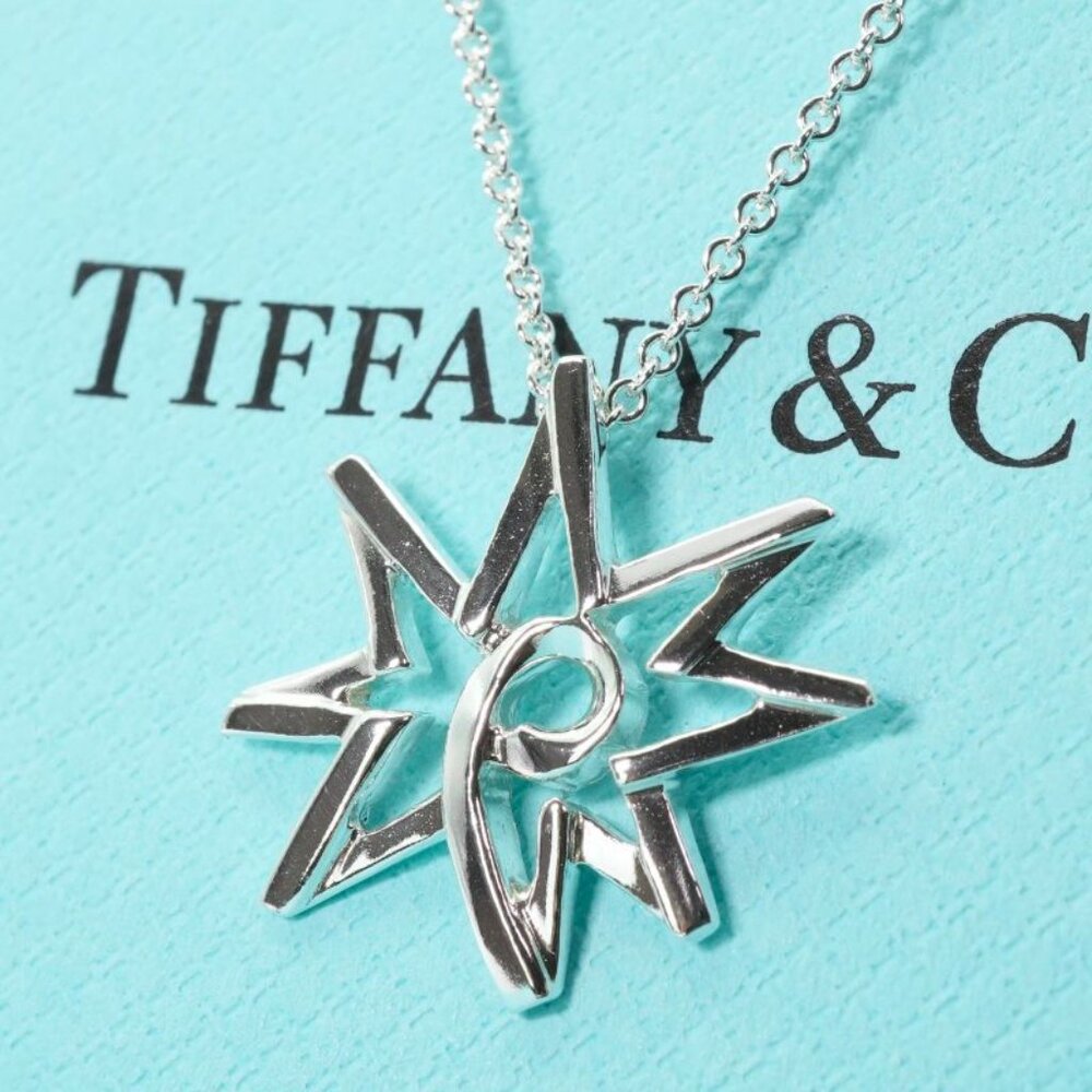 Tiffany & Co Paloma Picasso Volume Star Necklace - Picture 2 of 9